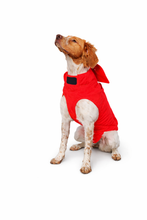 Load image into Gallery viewer, TAYAUT Embroidered Dog Protective Vest Size 65