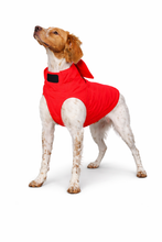 Load image into Gallery viewer, TAYAUT Embroidered Dog Protective Vest Size 65